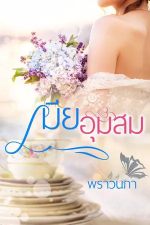 ปกนิยาย