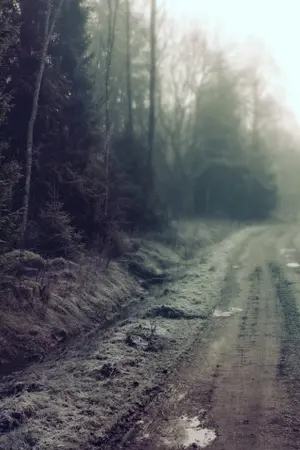 ปกนิยาย หากคุณกำลังอ่านข้อความนี้...