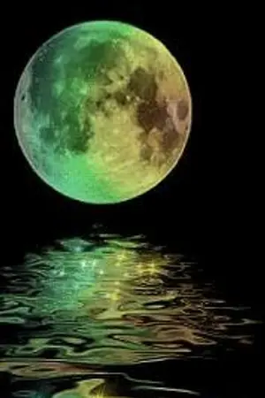 ปกนิยาย พระจันทร์หลงราตรี