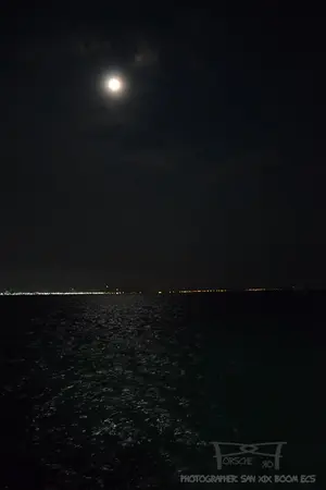 ปกนิยาย The Average Pirate กองโจรแห่งท้องทะเล