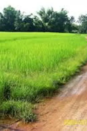 ปกนิยาย Fic GOT7 [Bnior] มนต์รักหนองกระทือ