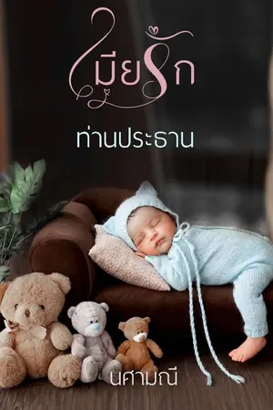 ปกนิยาย เมียรักท่านประธาน  (สาวๆ ขาน้องปลาวาฬมาแล้ว)