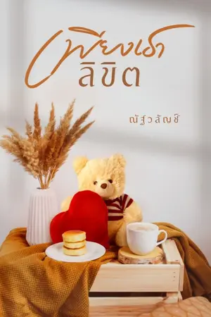 ปกนิยาย เพียงเราลิขิต
