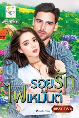 ปกนิยาย