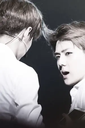 ปกนิยาย HUNHAN : Oh negative