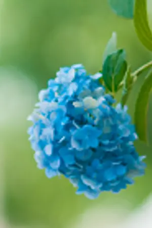 ปกนิยาย [KnB FanFiction]....รวมฟิคสั้น....[AllCharacter]