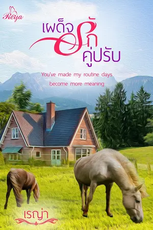 ปกนิยาย