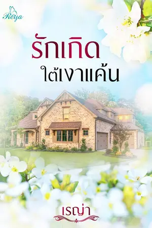 ปกนิยาย