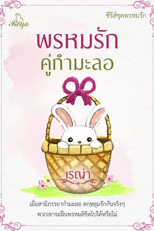 ปกนิยาย