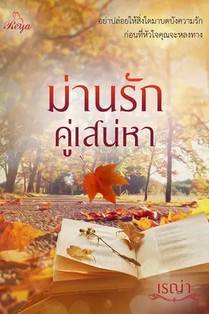 ปกนิยาย