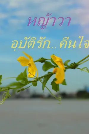 ปกนิยาย