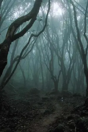 ปกนิยาย ผจญภัยล่าขุมทรัพย์เหนือกาลเวลา