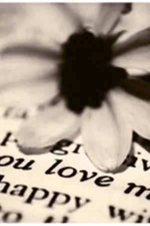 ปกนิยาย THE WIND OF LOVE MARKBAM