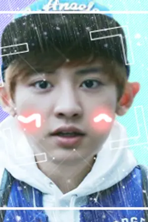 ปกนิยาย คลังเก็บงาน"คอนเทส"ของลูกอม