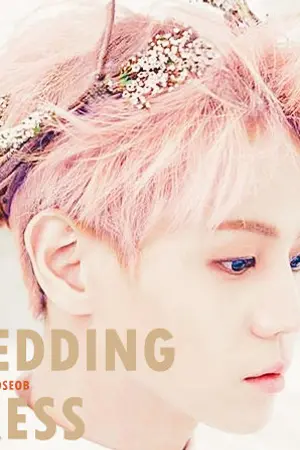 ปกนิยาย [SF] Wedding Dress (DOOSEOB)