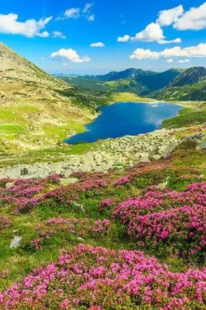 ปกนิยาย reborn of life ย้อนเวลาพลิกชะตาชีวิต