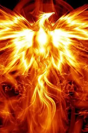 ปกนิยาย The Legacy