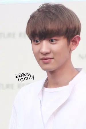 ปกนิยาย ❃ B's Type ❃ [ Fic chanbaek ft. Exo ]