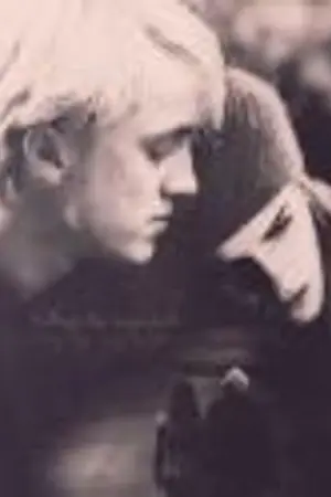 ปกนิยาย Black Rose ราตรีนี้นิรันดร์{Fic-Draco x Hermione}