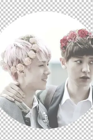 ปกนิยาย Collection.CG