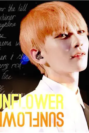 ปกนิยาย { FIC. SEVENTEEN X You } ❖ SUNFLOWER | #17shades