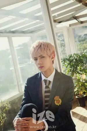 ปกนิยาย EXO X YOU Just one Thing