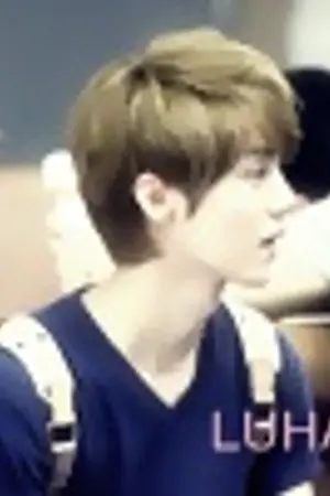 ปกนิยาย {exo} 'princess (hunhan)