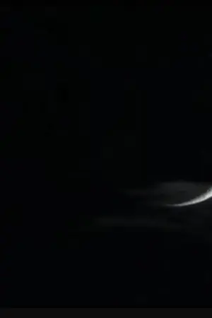 ปกนิยาย in the dark