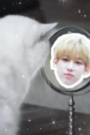 ปกนิยาย Meow! เรียกที่รักประเดี๋ยวได้ไหมครับ[MarkBam]❤️