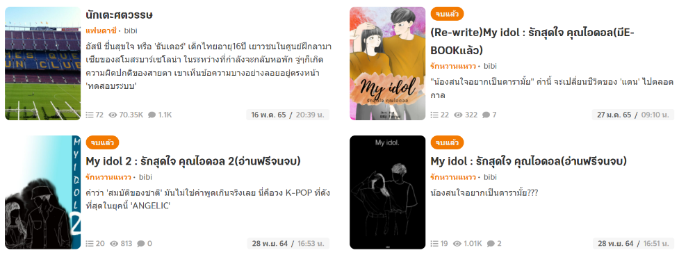 ผลงานนิยายของน้องเบลในนามปากกา bibi