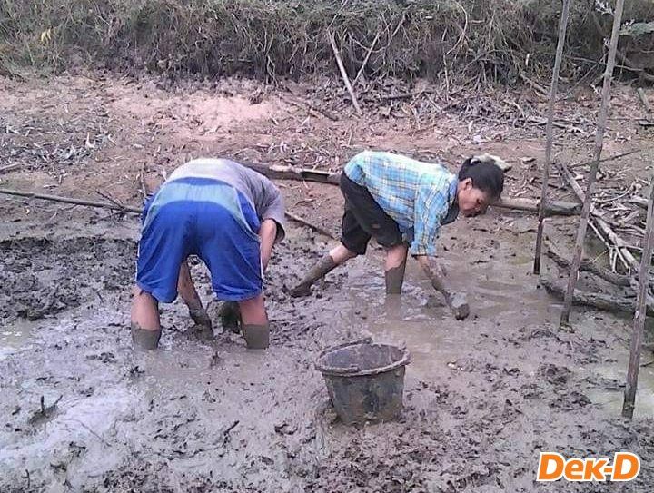 ช่วงที่น้องแววได้กลับต่างจังหวัดไปช่วยงานพ่อแม่