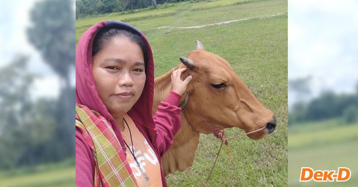 ช่วงที่นักเขียนนำวัวไปเลี้ยงนอกคอก 