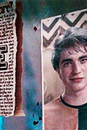 ปกนิยาย [Fic Harry Potter] Find you | Cedric Diggory & Dominic Weasley