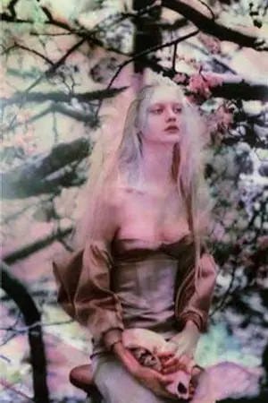 ปกนิยาย [FIC HARRY POTTER] The Dementor kiss จุมพิตรักผู้คุมวิญญาณ