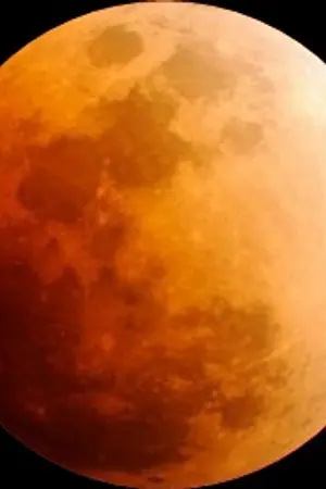 ปกนิยาย เกมส์ซ้อนเกมส์ (ลบ)