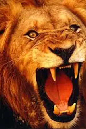 ปกนิยาย นามิกิ