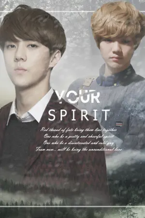 ปกนิยาย |정신| Your spirit  (HH)