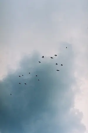 ปกนิยาย EXO [LayxYou] Air space