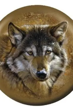 ปกนิยาย WOLF BALLS [JACKBAM][MARKNIOR]