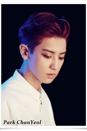 ปกนิยาย TWINS (Chanyeol x You)