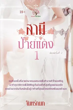ปกนิยาย สามีป้ายแดง