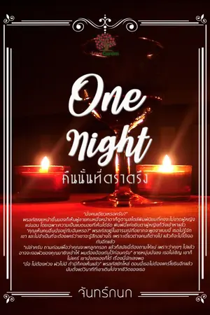 ปกนิยาย One night คืนนั้นที่ตราตรึง