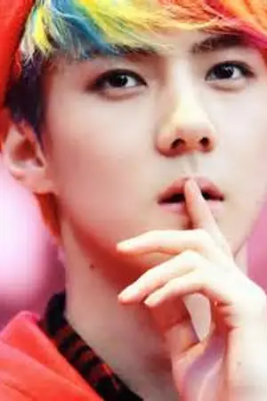 ปกนิยาย The gang