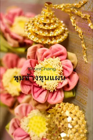 ปกนิยาย