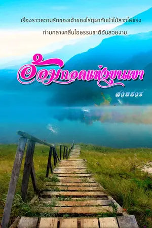 ปกนิยาย