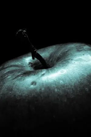 ปกนิยาย forbidden sin รัก ลวง หลง หลอก (yaoi,yuri,normal,dark,etc)