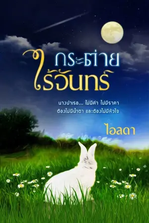 ปกนิยาย