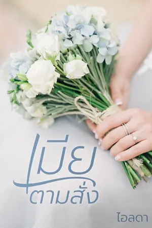 ปกนิยาย