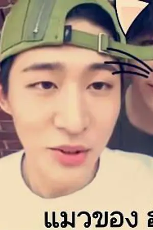 ปกนิยาย [BJIN] แมวของ ฮันบิน