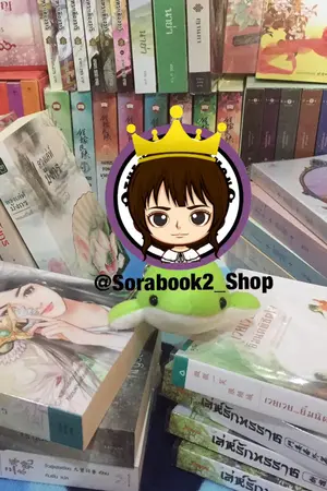 ปกนิยาย 『นิยายมือสอง』✽ นิยาย นิยายแปล นิยายวาย ✽